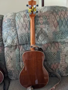 dans-mainland-uke-4